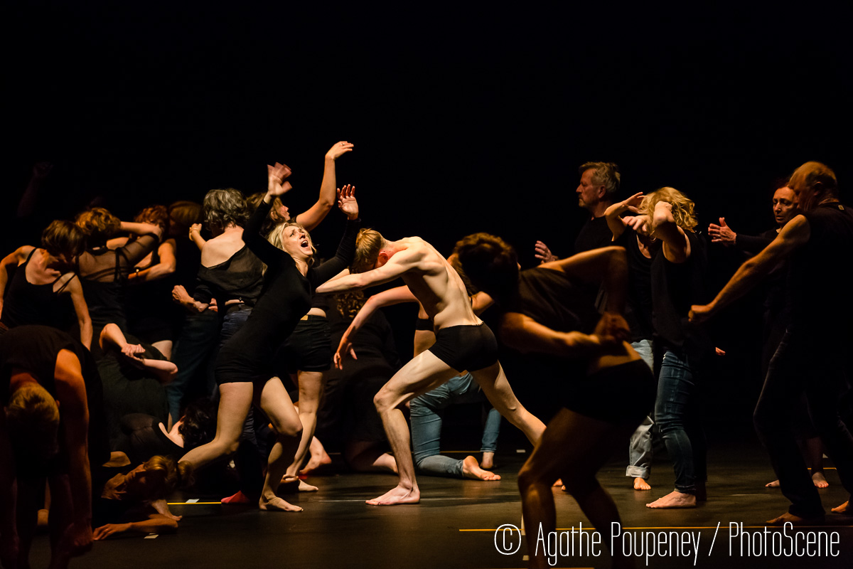 Šeiko šokio teatras: PREMJERA| Šokio spektaklis INSANE| KlaipėDAnse 2023